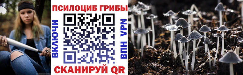 Псилоцибиновые грибы Cubensis  Сухиничи 
